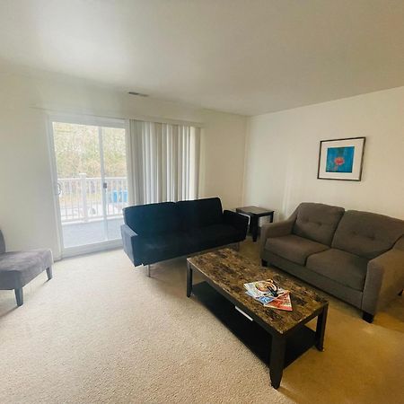 Large, Clean, Comfortable, 1Br Near Einstein Hos Elkins Park Eksteriør bilde